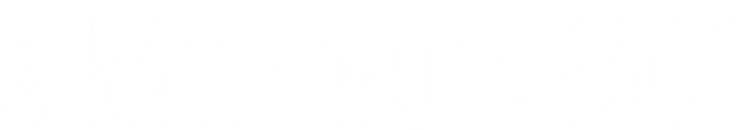 Logo Ä Halle Wos Fägt Weiss